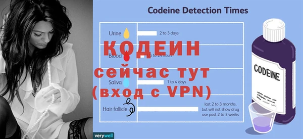 стаф Вязьма