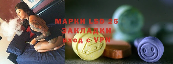 стаф Вязьма