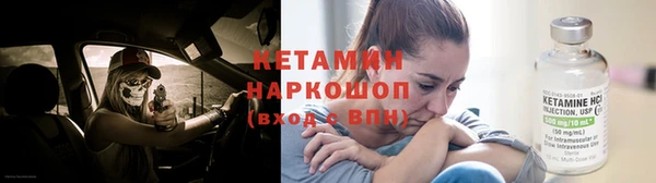 стаф Вязьма