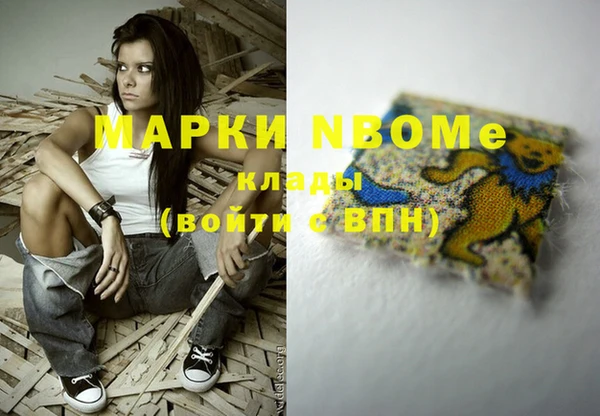 стаф Вязьма
