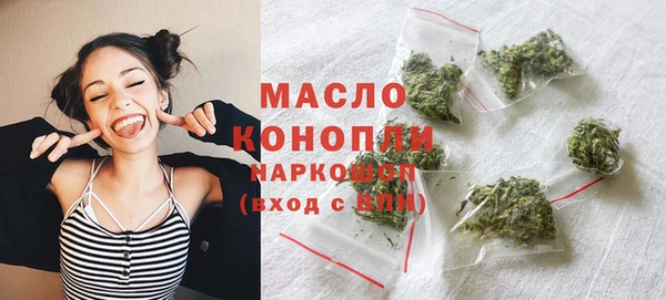 стаф Вязьма