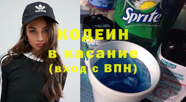 соль ск Вяземский