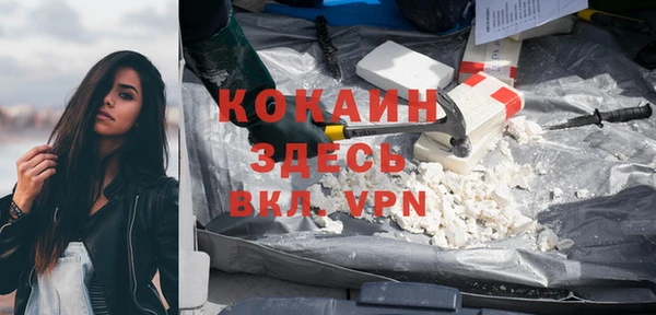 соль ск Вяземский