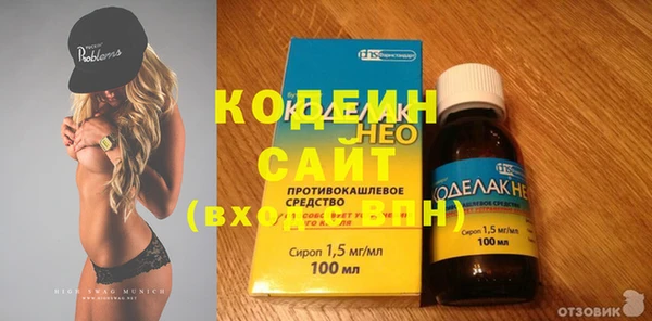 соль ск Вяземский