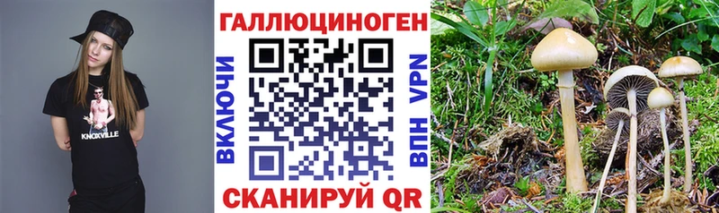 Галлюциногенные грибы ЛСД kraken ссылки Москва